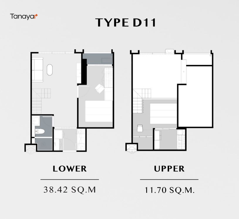 Type D11